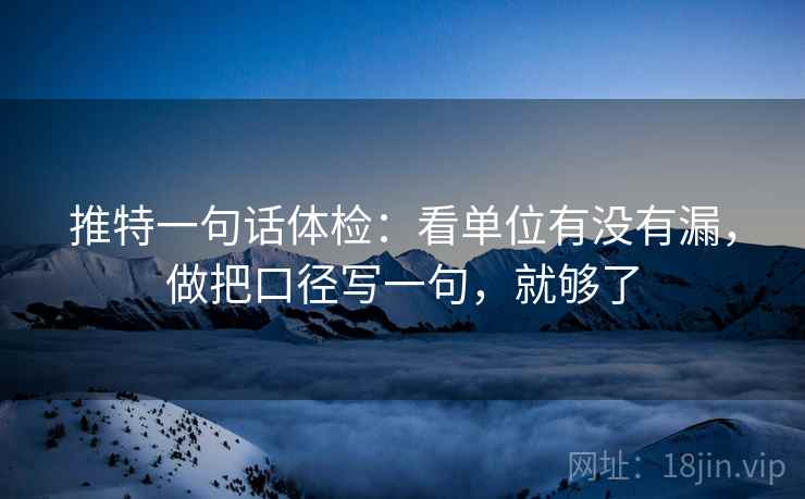 推特一句话体检：看单位有没有漏，做把口径写一句，就够了